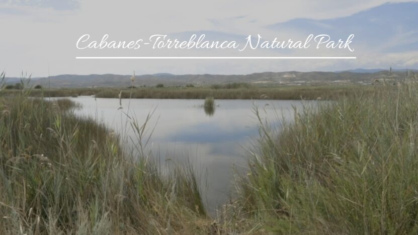 Cabanes-Torreblanca Natural Park
